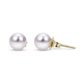 6mm AA Akoya Pearl 14K Yellow Gold Stud Earrings
